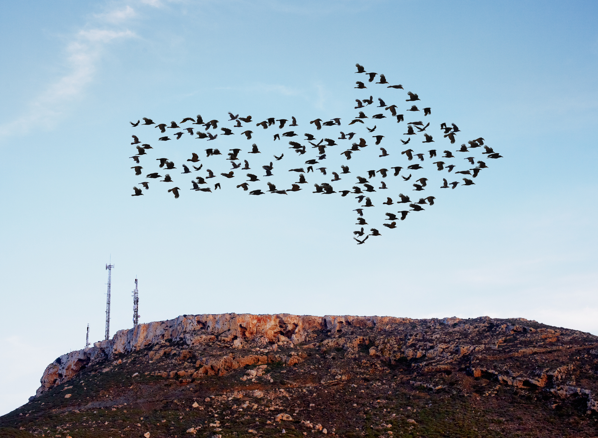 flock of birds forming an arrow flying over a hillside
