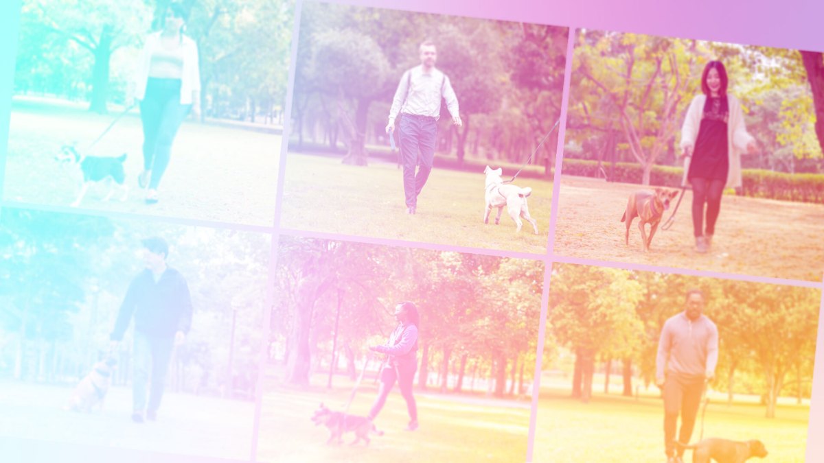 'Embarrassing and wrong': Google admits it lost control of image-generating AI