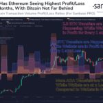 Cardano vs Bitcoin vs Ethereum